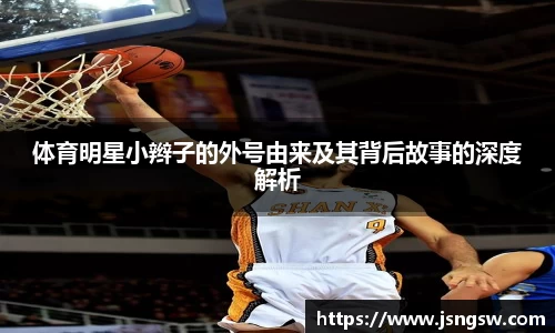体育明星小辫子的外号由来及其背后故事的深度解析